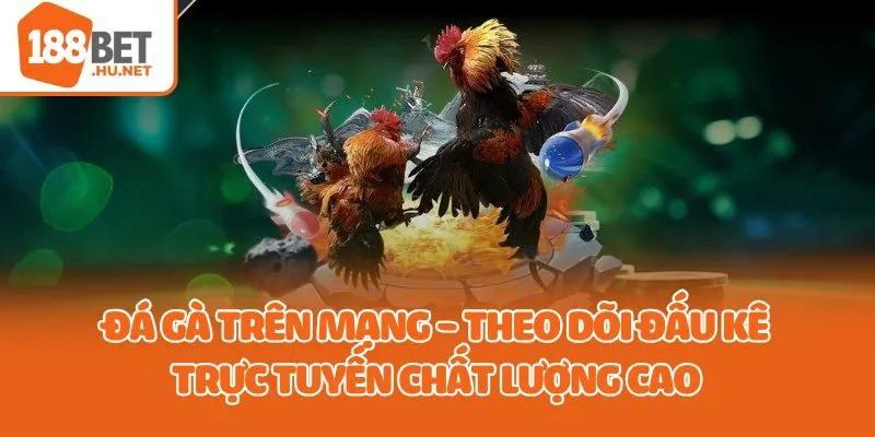 đá gà trên mạng