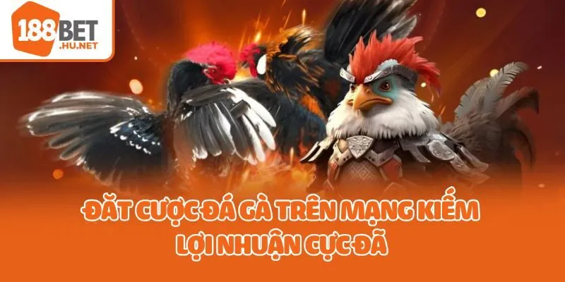 Đặt cược đá gà trên mạng kiếm lợi nhuận cực đã