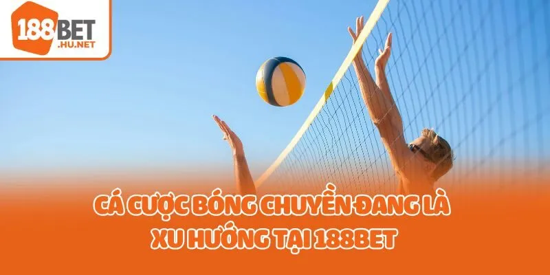 Cá cược bóng chuyền đang là xu hướng tại 188bet